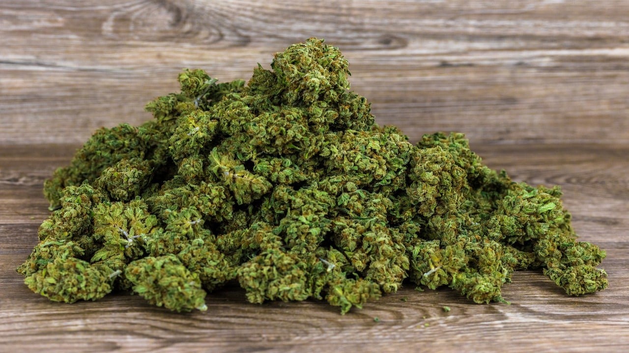 Die besten Klimazonen für den Anbau von Cannabis Samen
