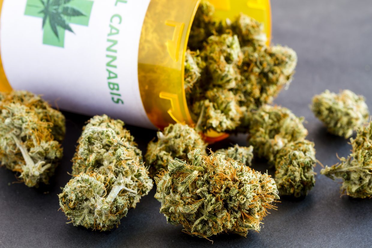 Das Beste vom Markt sichern – Cannabis Samen bestellen für Kenner
